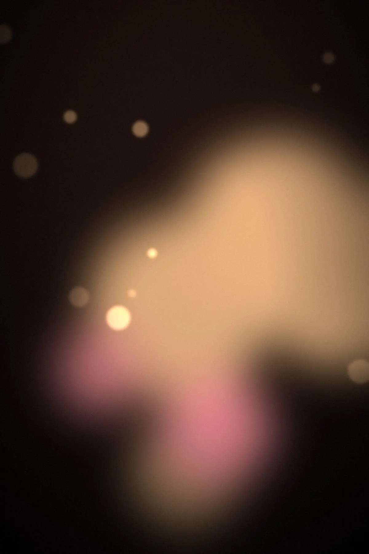 Couples placeholder image 3